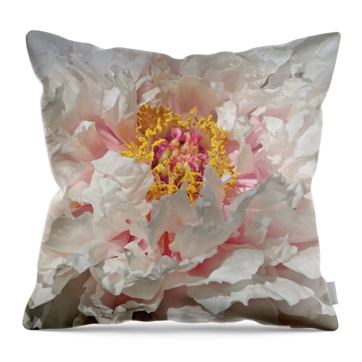 White Peony Throw Pillow featuring the photograph White Peony by Sandy Keeton