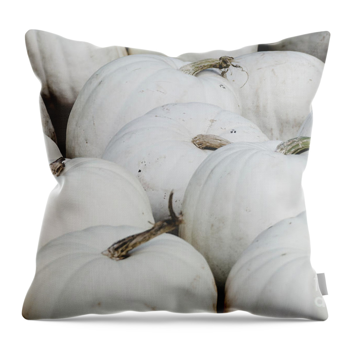 Holidays Throw Pillow featuring the photograph White Pumpkins by Andrea Anderegg