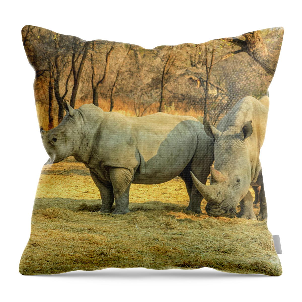 African Throw Pillow featuring the photograph White rhinos by Benny Marty