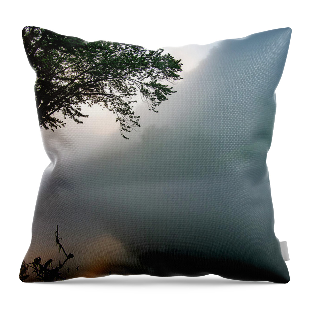 Landscape Throw Pillow featuring the photograph White River Morning by Adam Reinhart