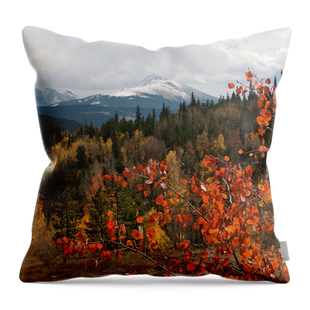White River National Forest Throw Pillow featuring the photograph White River National Forest Autumn Panorama by Cascade Colors