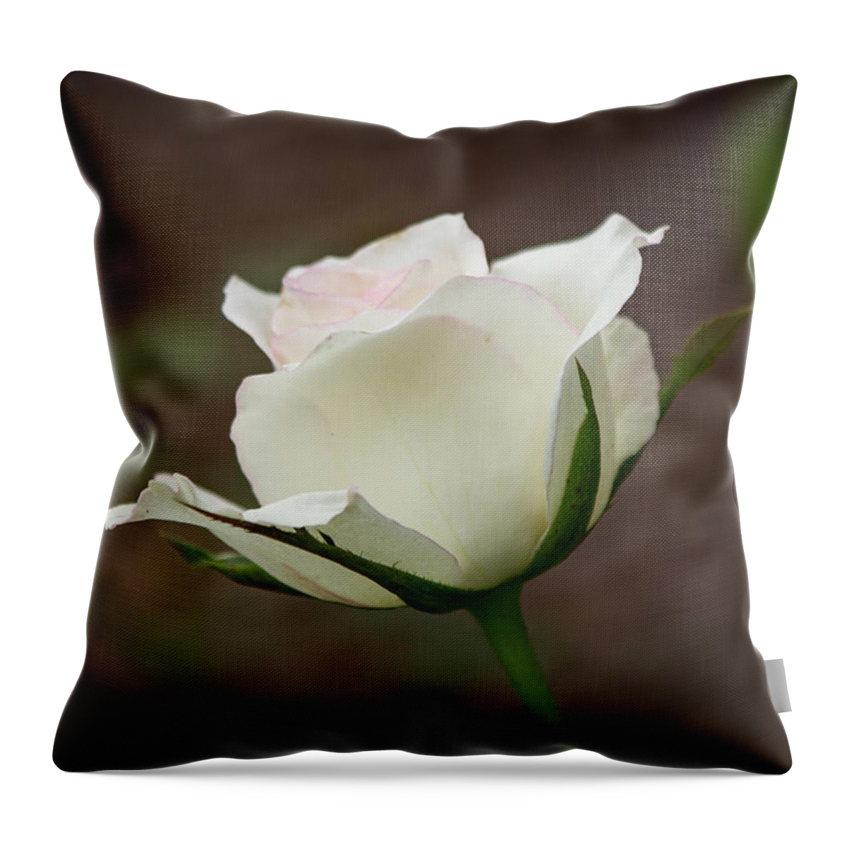 Florida Throw Pillow featuring the photograph White Rose Bud 2 by Teresa Wilson