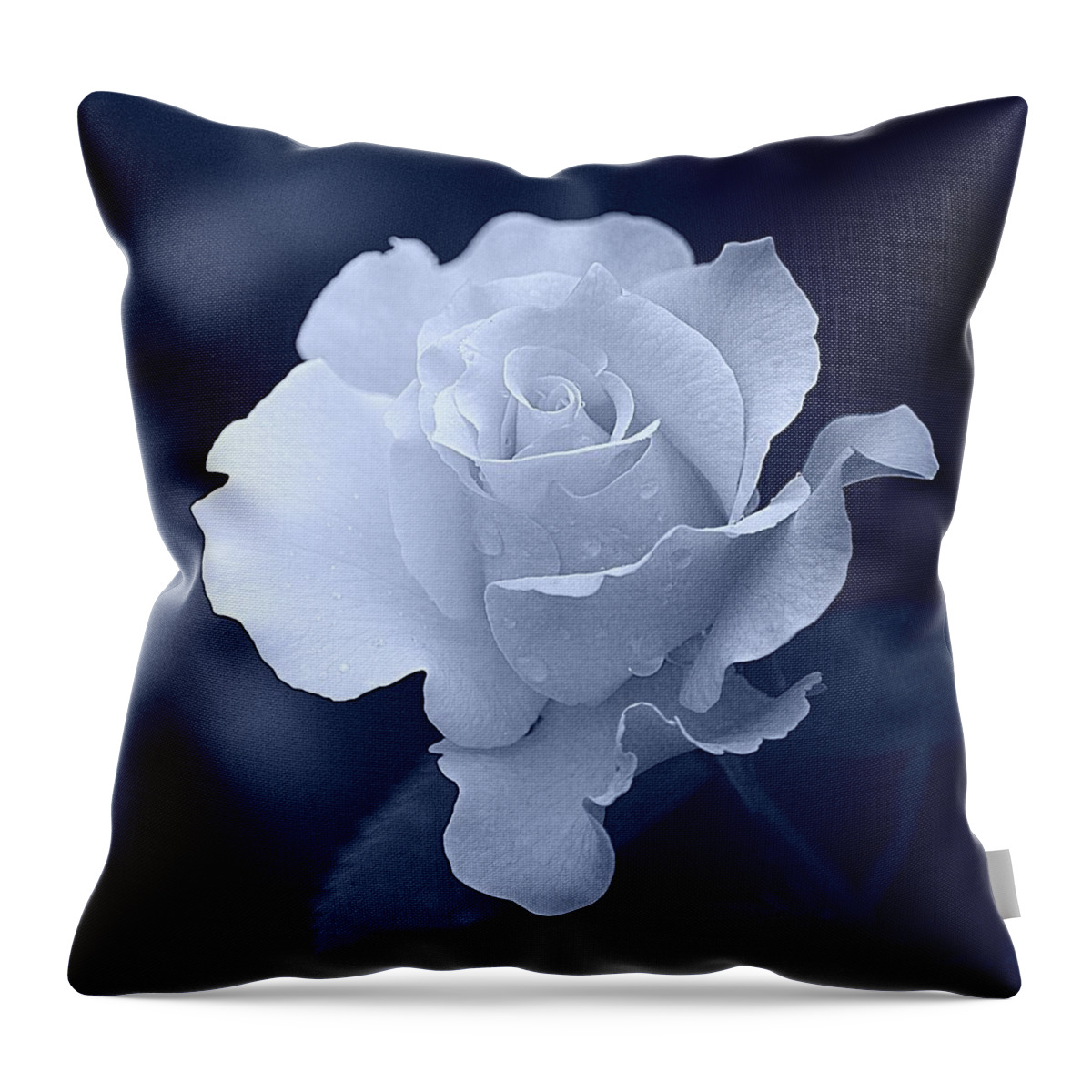 Art Throw Pillow featuring the photograph White Rose on Navy Blue by Joan Han