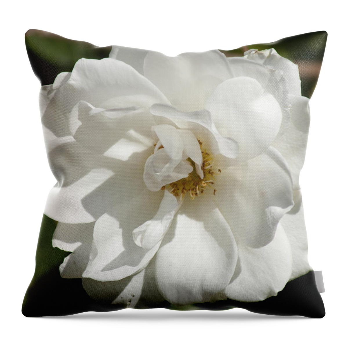 Photo Throw Pillow featuring the photograph White rose by Martin Valeriano