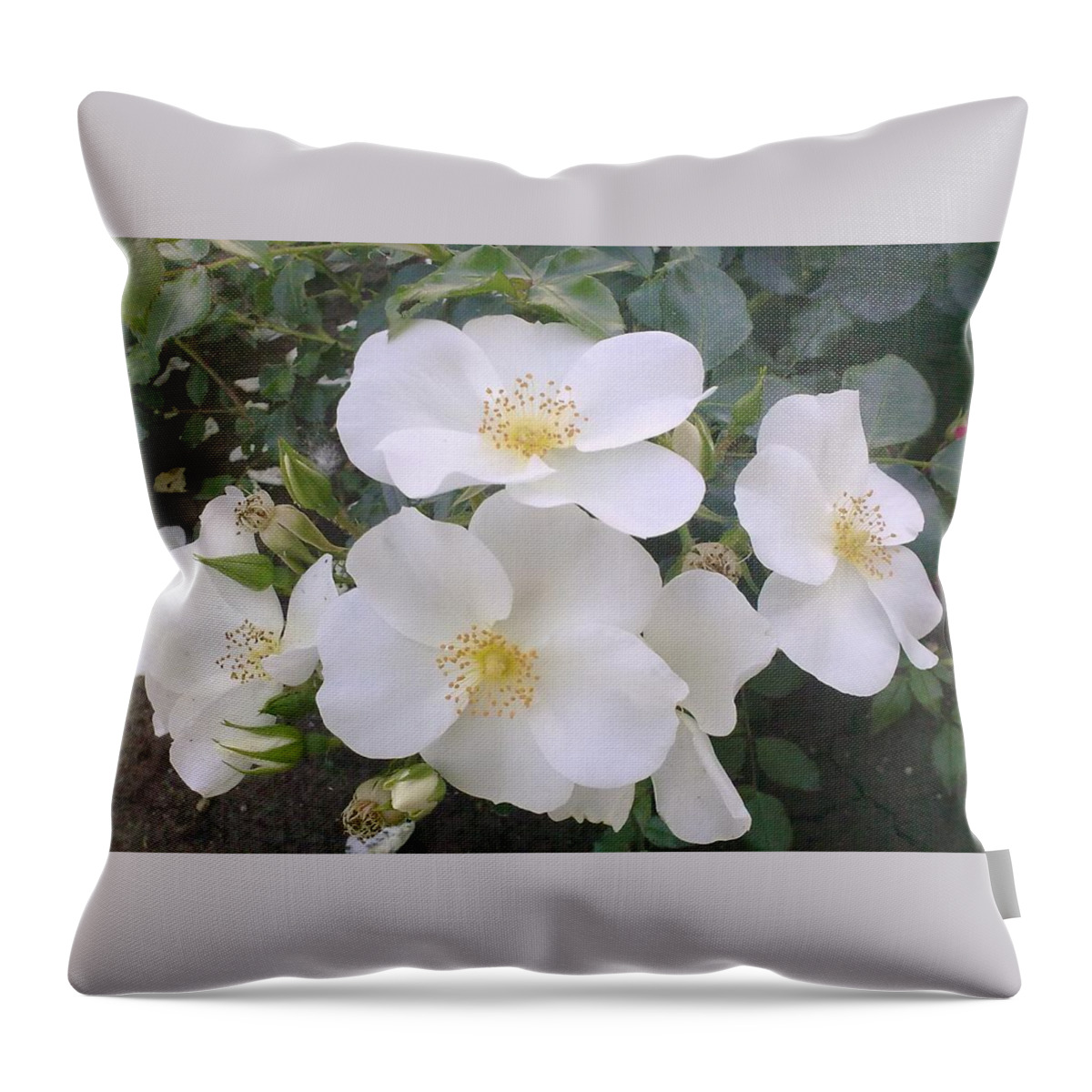 White Roses Throw Pillow featuring the painting White Roses Bloom by Georgeta Blanaru