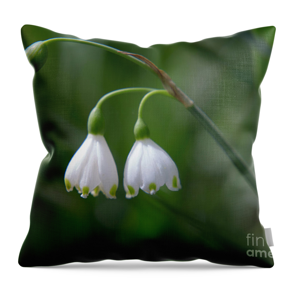 National Arboretum Throw Pillow featuring the photograph White spring by Agnes Caruso