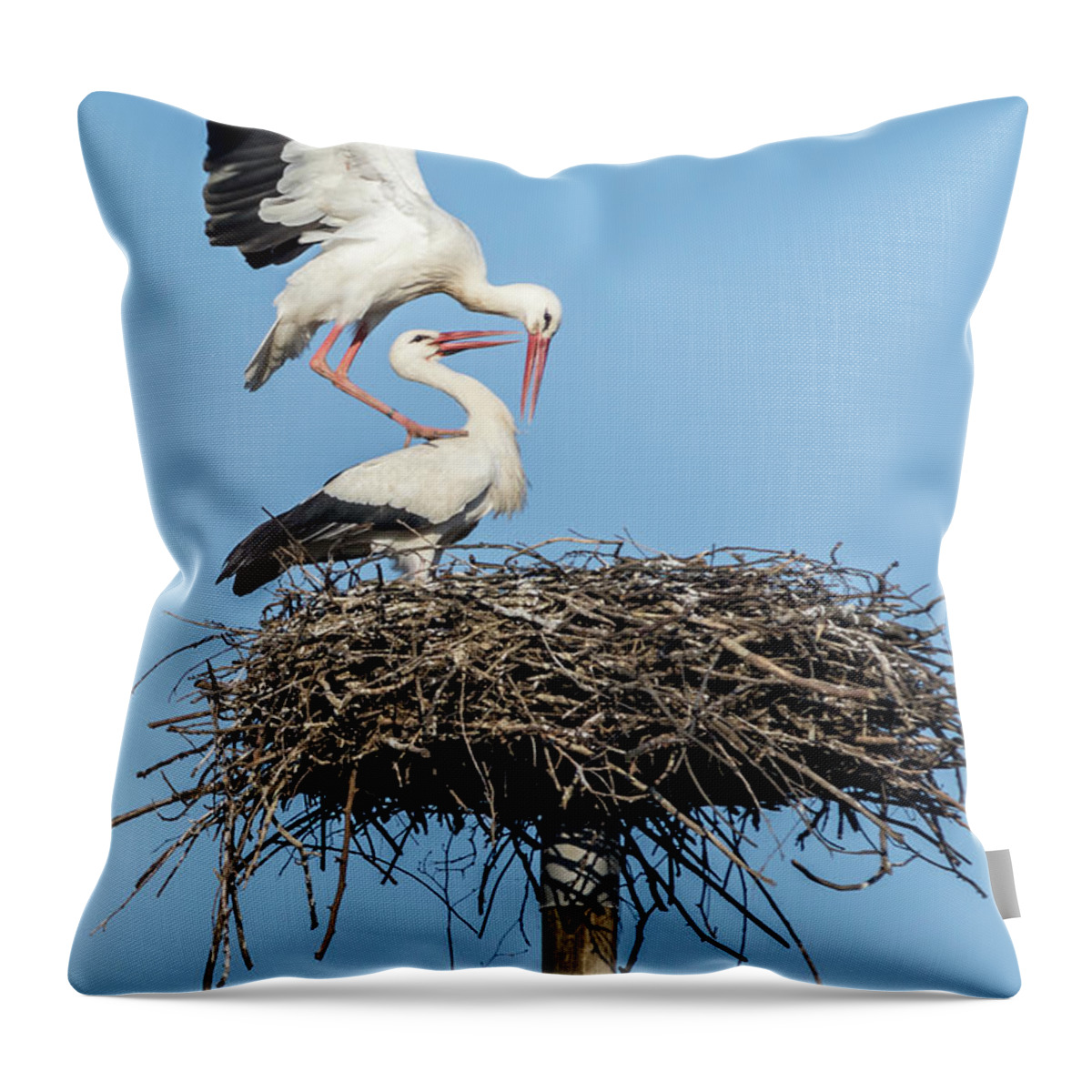 White Storks Throw Pillow featuring the photograph White Storks of Fagagna 6 by Wolfgang Stocker