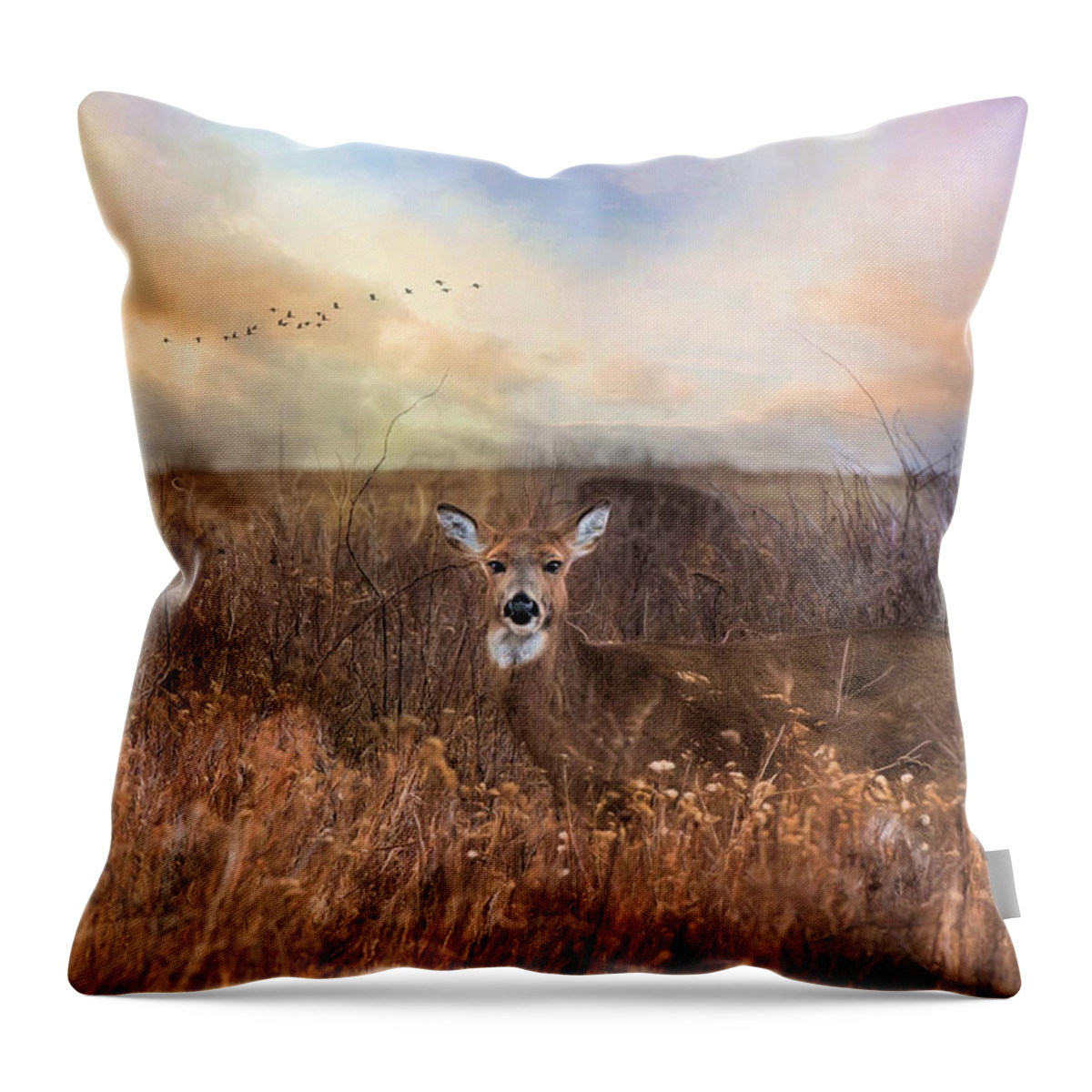 Deer Throw Pillow featuring the photograph White Tail by Robin-Lee Vieira