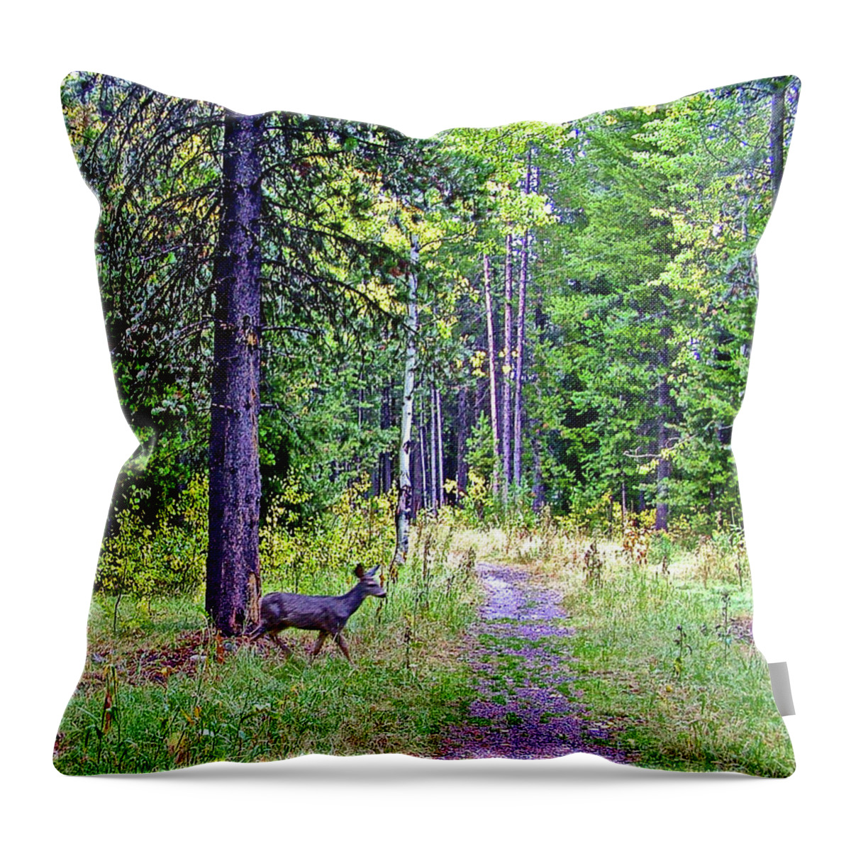 White-tailed Deer In Grand Tetons National Park Throw Pillow featuring the photograph White-tailed Deer in Grand Tetons National Park, Wyoming by Ruth Hager