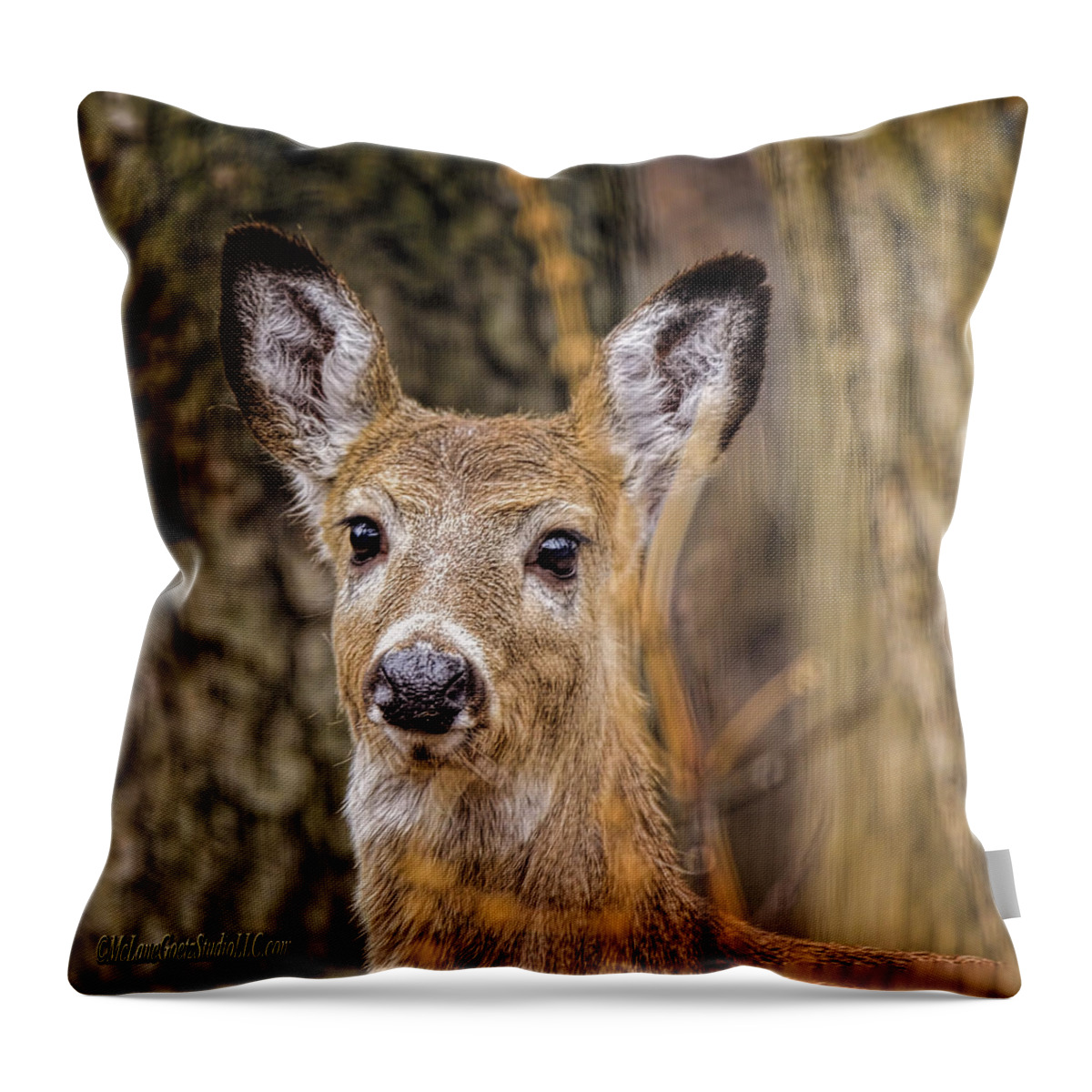 White-tailed Throw Pillow featuring the photograph White Tailed Doe Eyed Deer by LeeAnn McLaneGoetz McLaneGoetzStudioLLCcom