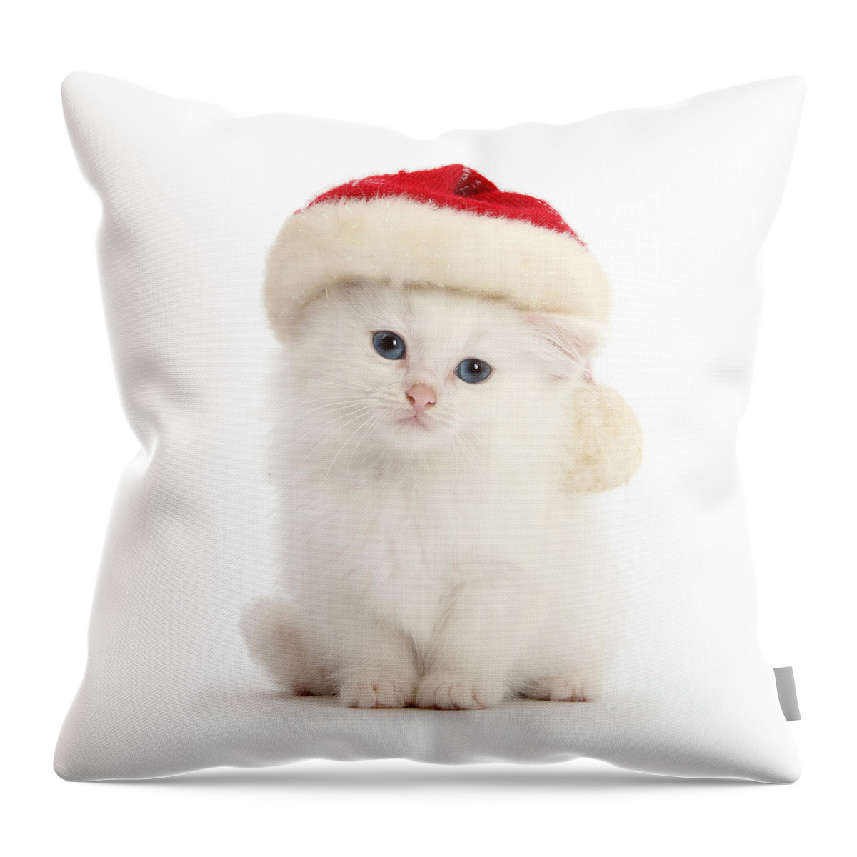 Father Christmas Throw Pillow featuring the photograph White this Christmas by Warren Photographic