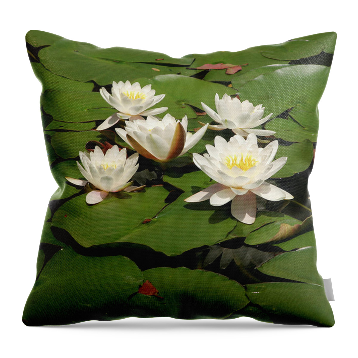 Water Lilies Throw Pillow featuring the photograph White Water Lilies by Art Block Collections