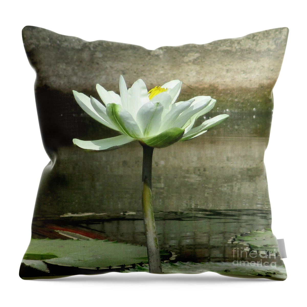 White Water Lilly Throw Pillow featuring the photograph White Water Lily 2 by Randall Weidner
