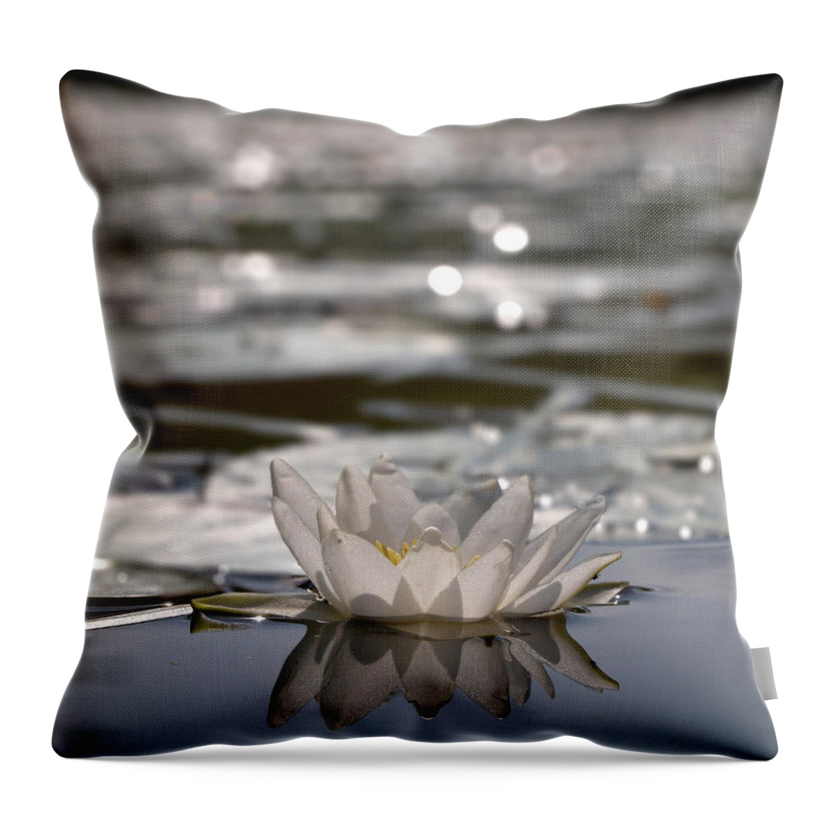Lehtokukka Throw Pillow featuring the photograph White waterlily 3 by Jouko Lehto
