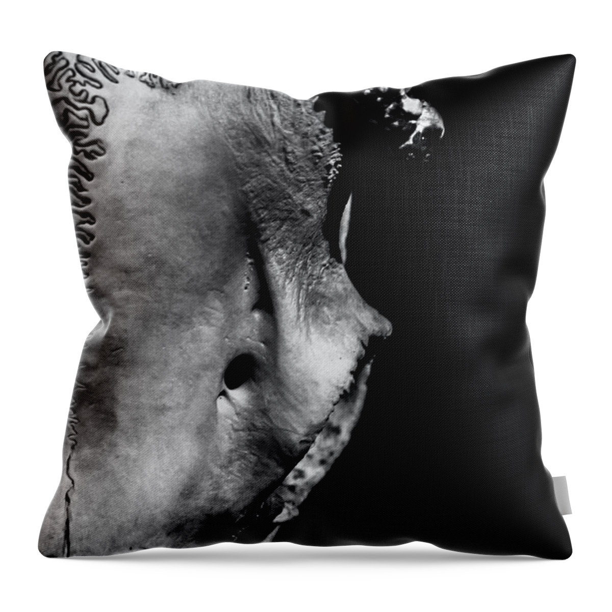 Deer Throw Pillow featuring the photograph Whitetail Deer Skull 1 - Left by James Aiken