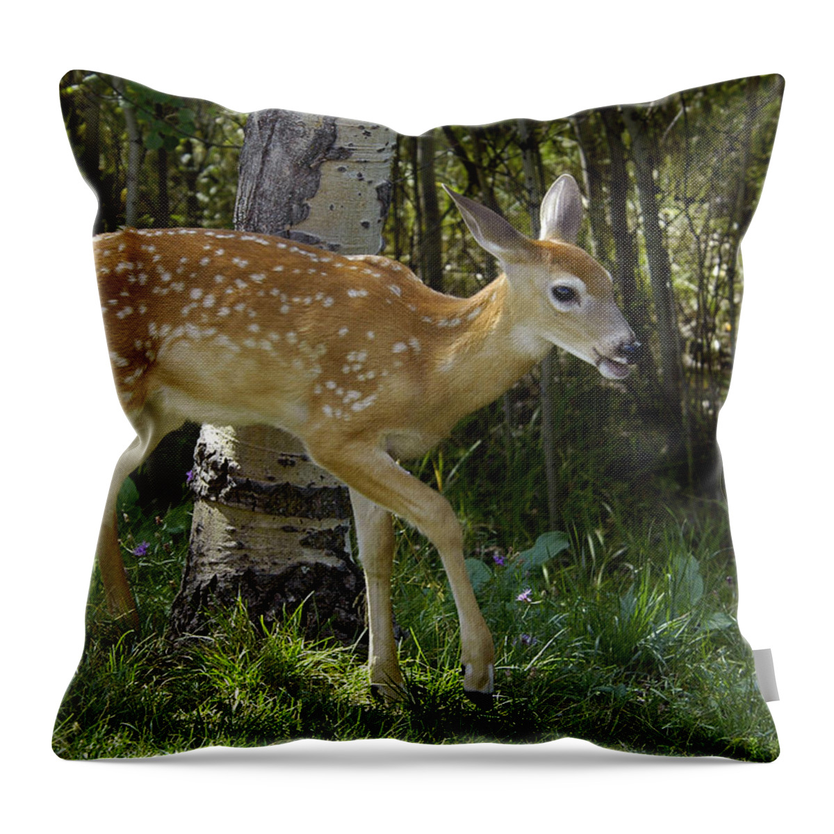 Fawn Throw Pillow featuring the photograph Whitetail Fawn by Gary Beeler