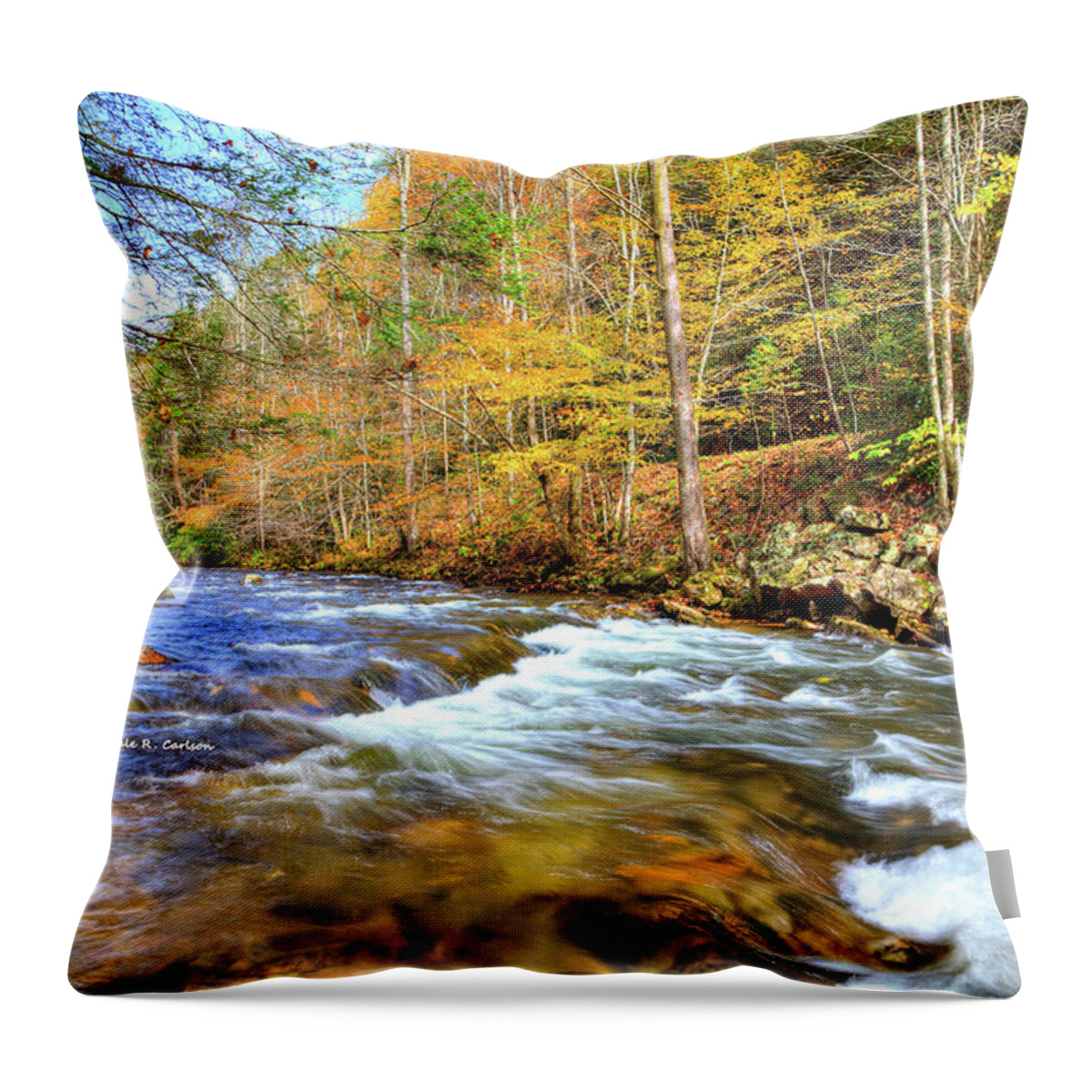 Fall Throw Pillow featuring the photograph Whitetop Creek Autumn by Dale R Carlson