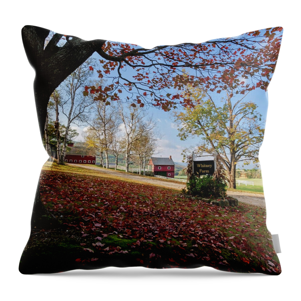 Landscape Throw Pillow featuring the photograph Whitney Farm by Brett Pelletier