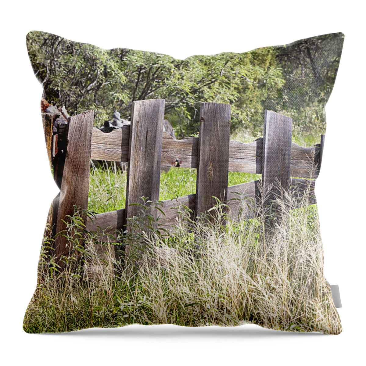 Fence Throw Pillow featuring the photograph Who Ate The Fence by Phyllis Denton