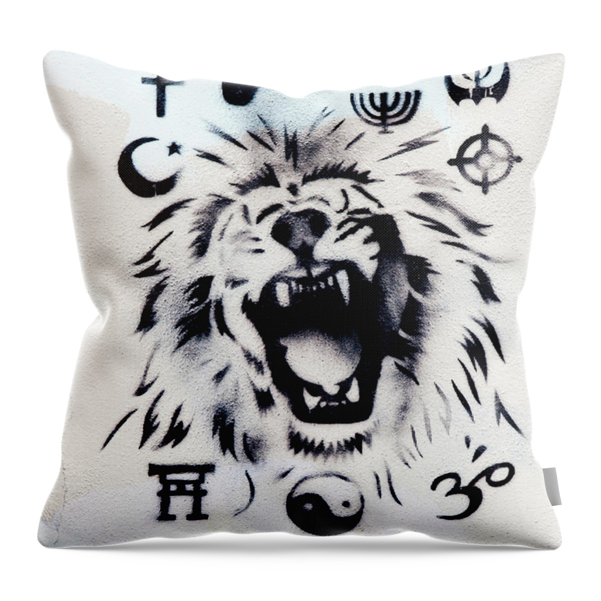 Grafitti Throw Pillow featuring the photograph Who Do You Believe by Art Block Collections