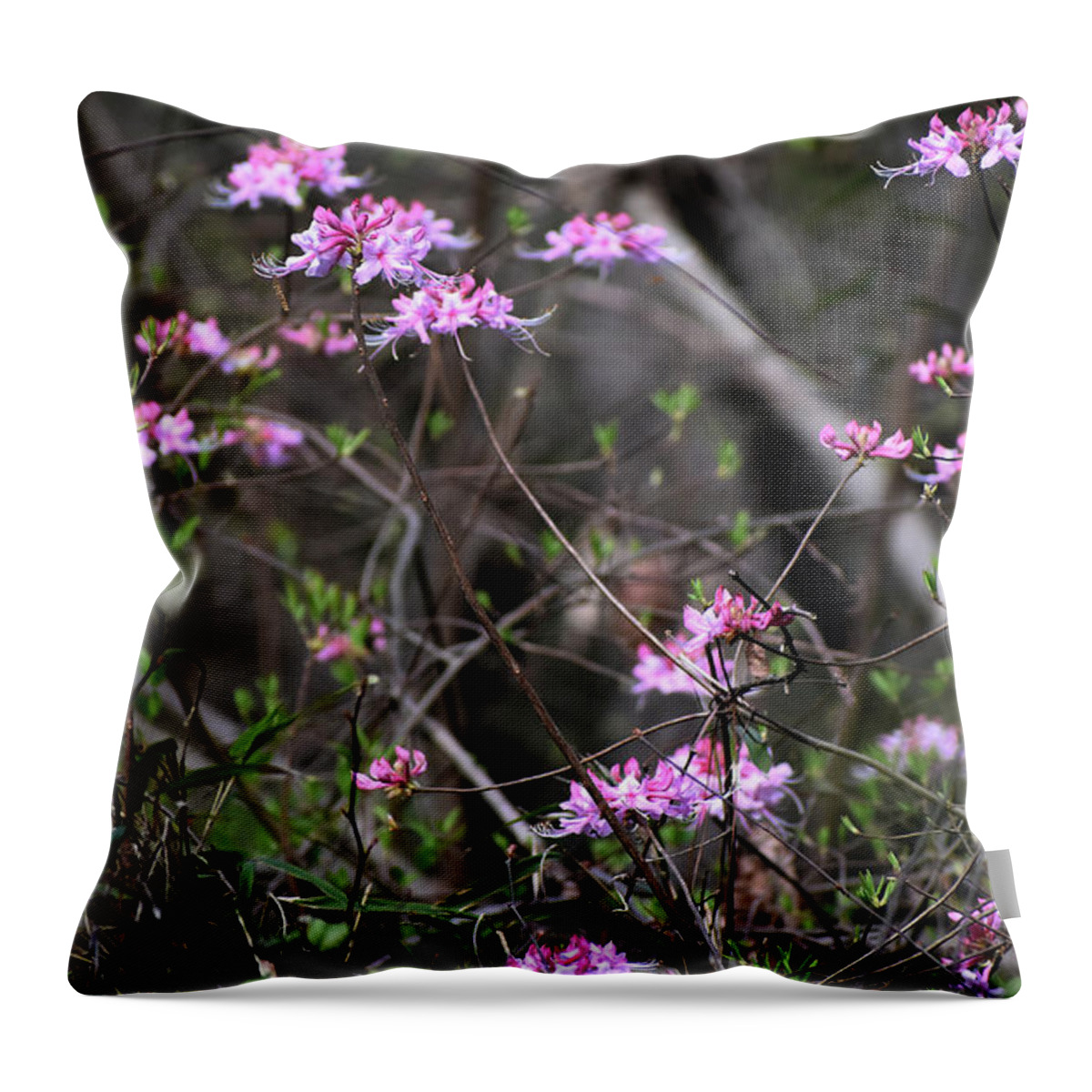Nature Throw Pillow featuring the photograph Who Put The Wild In Wildflowers by Skip Willits