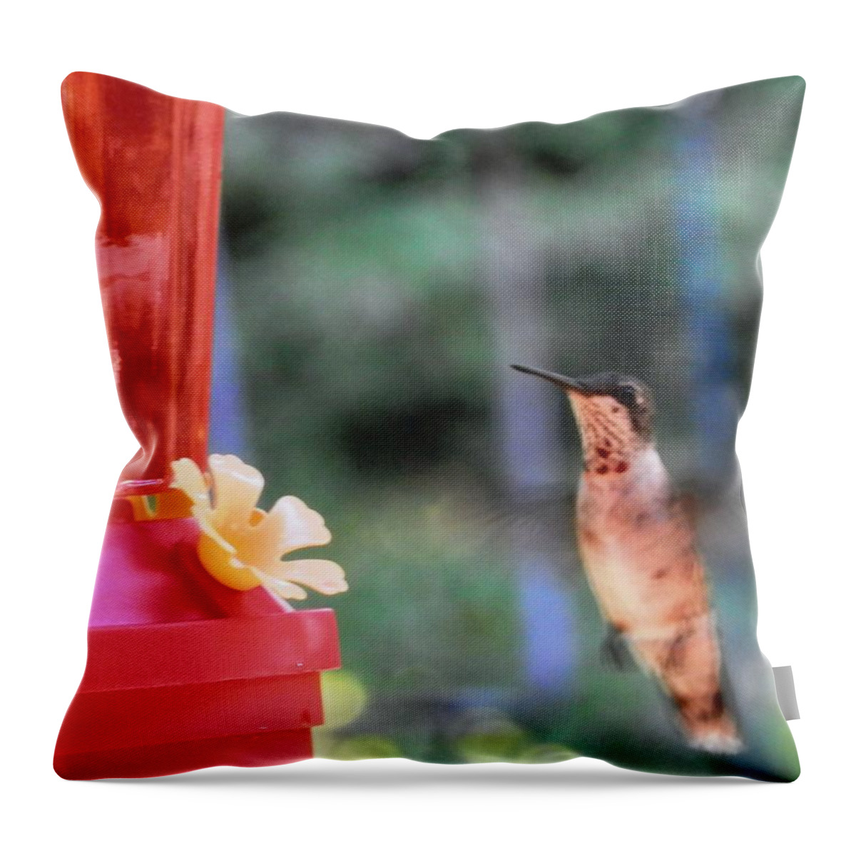 #time To #enjoy The #nectar Of #god My #hummingbird #friend #red #yellow #hungry Throw Pillow featuring the photograph WHOA Hummingbird by Belinda Lee