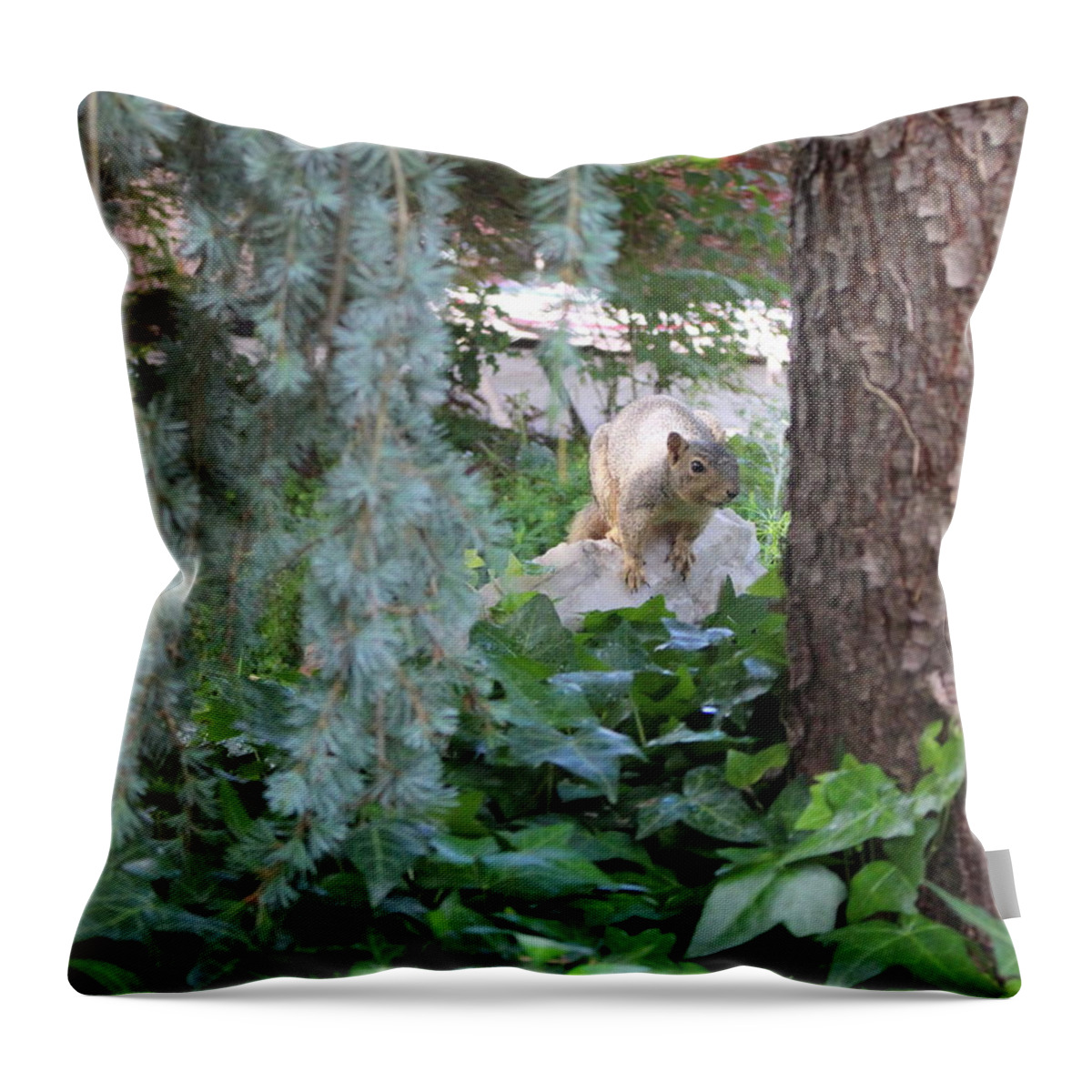 Squirrel Throw Pillow featuring the photograph WHOA Nellie by Marie Neder