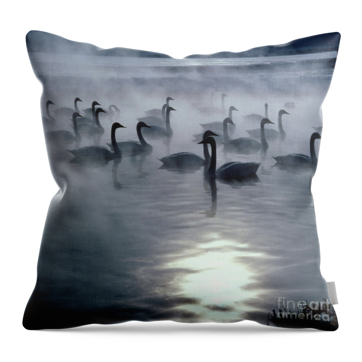 Whooper Swan Throw Pillow featuring the photograph Whooper Swans by Teiji Saga and Photo Researchers
