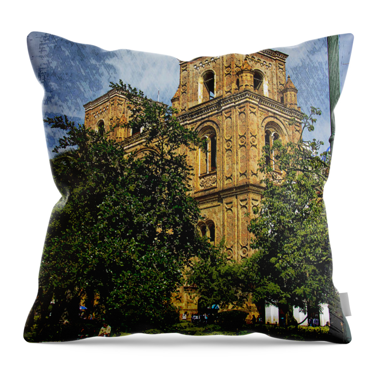 New Throw Pillow featuring the photograph Why Do I Live Here? II by Al Bourassa