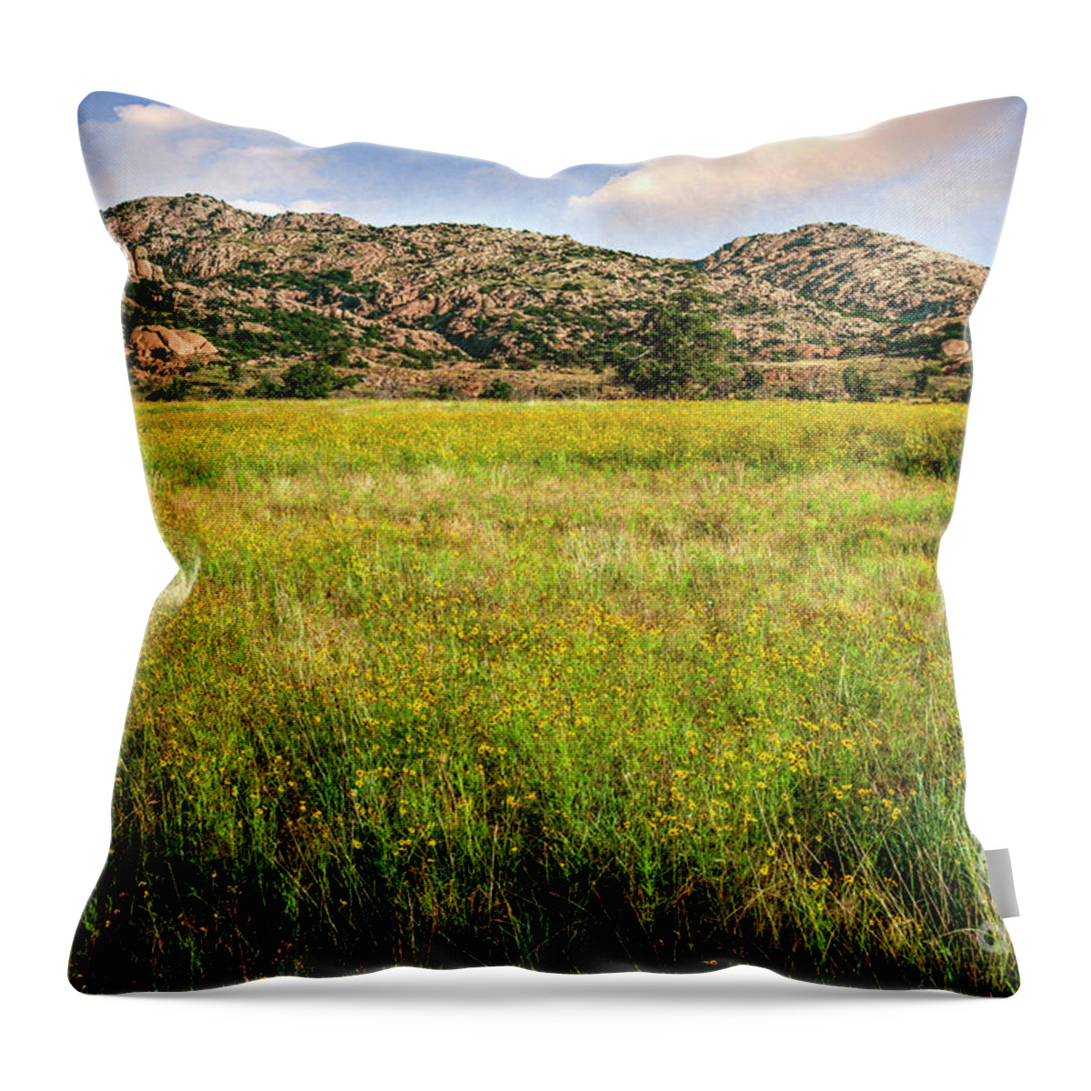 Nature Throw Pillow featuring the photograph Wichita Mountain Wildflowers by Tamyra Ayles