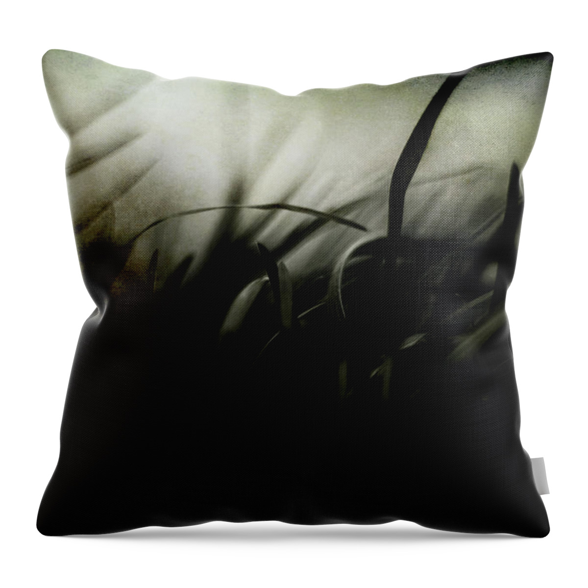 Dark Throw Pillow featuring the photograph Wicked Garden by Rebecca Sherman
