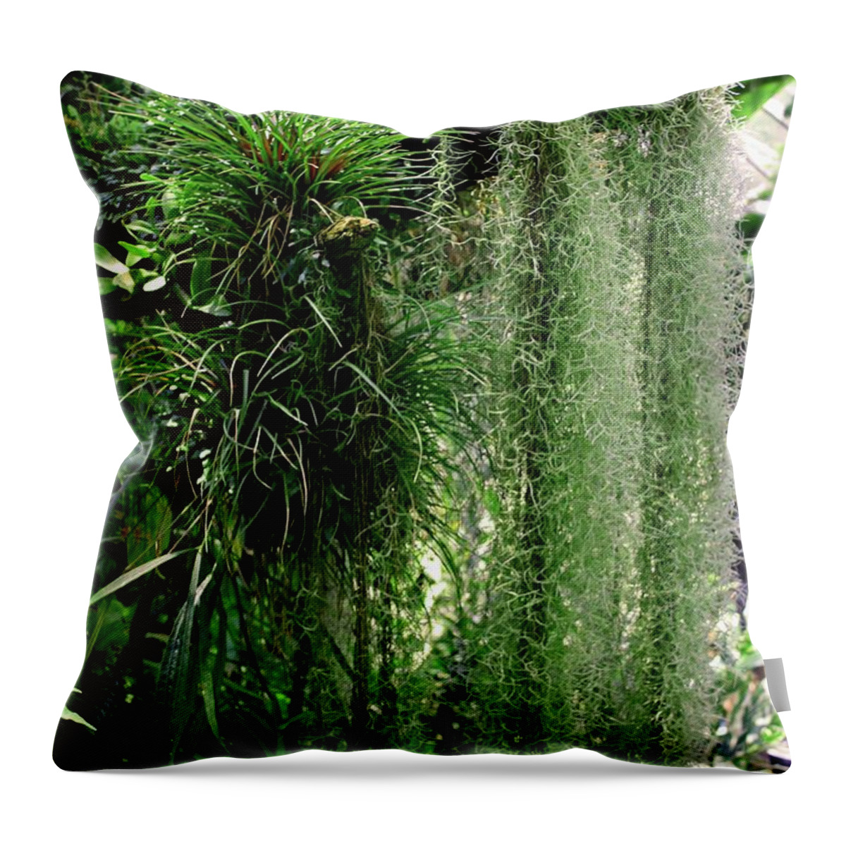 Green Throw Pillow featuring the photograph Wicked Whipser by Michiale Schneider