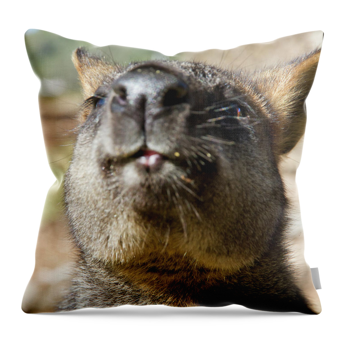 Swamp Throw Pillow featuring the photograph Wiggling His Nose At My Camera by Miroslava Jurcik
