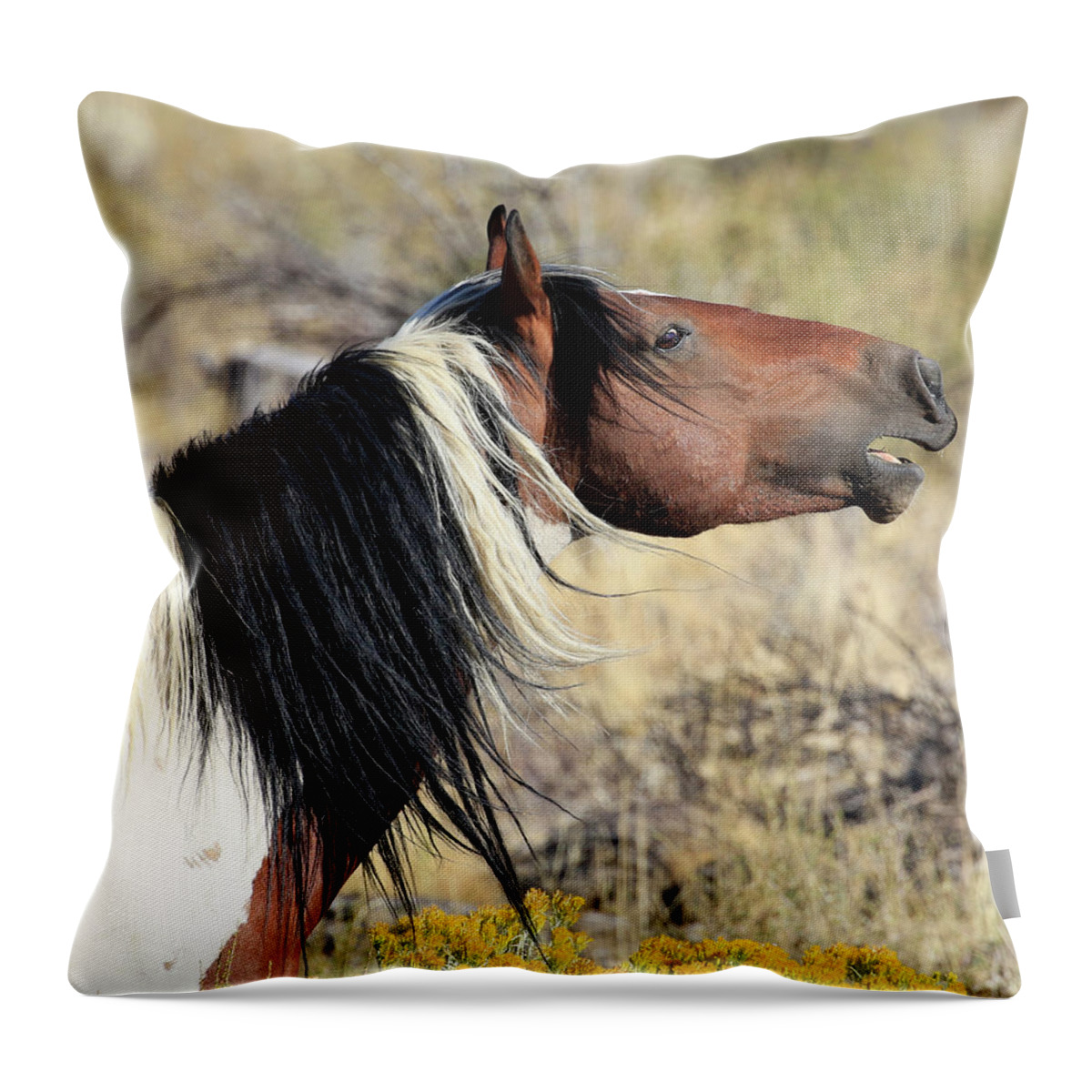 Wild Stallion Throw Pillow featuring the photograph Wild and Colorful by Steve McKinzie