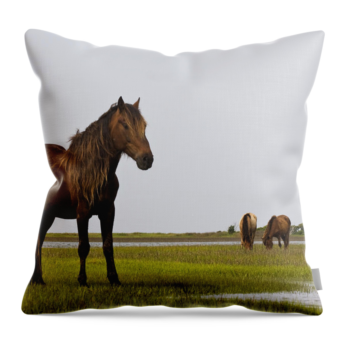 Wild Throw Pillow featuring the photograph Wild and Free by Bob Decker