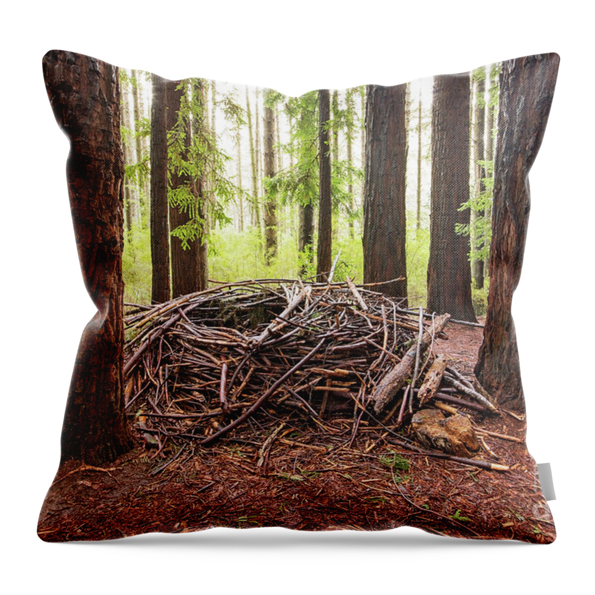 Redwood Throw Pillow featuring the photograph Wild and Woven by Linda Lees