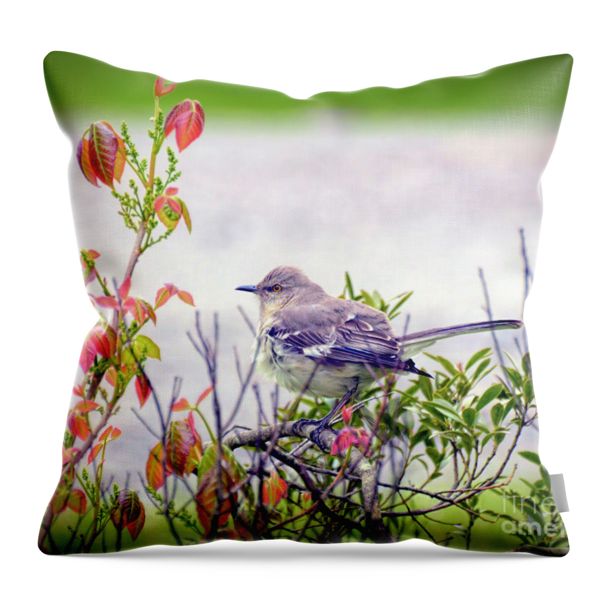 Northern Mockingbird Throw Pillow featuring the photograph Wild Birds - Northern Mockingbird by Kerri Farley