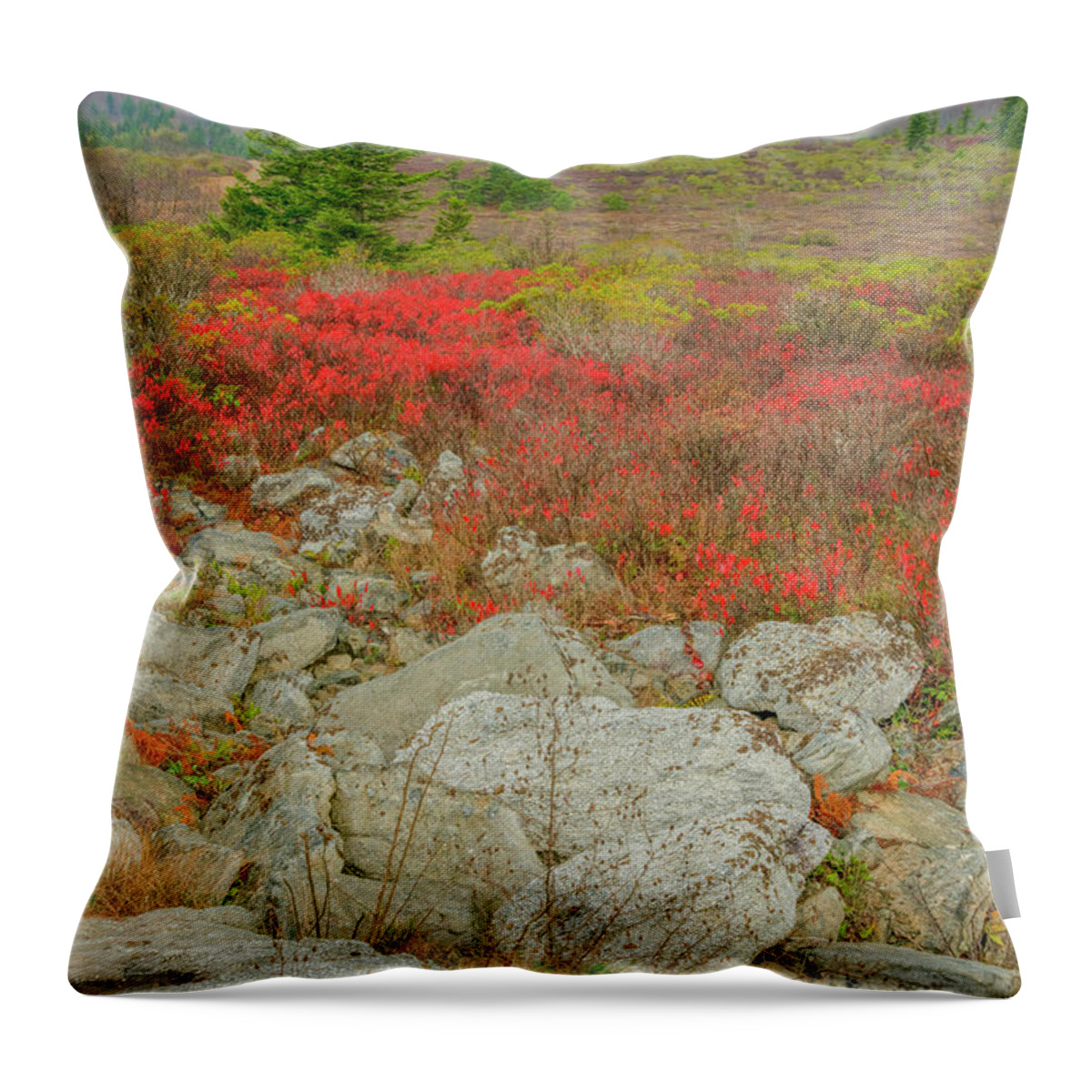 Fall Color Throw Pillow featuring the photograph Wild Blueberries by David Waldrop
