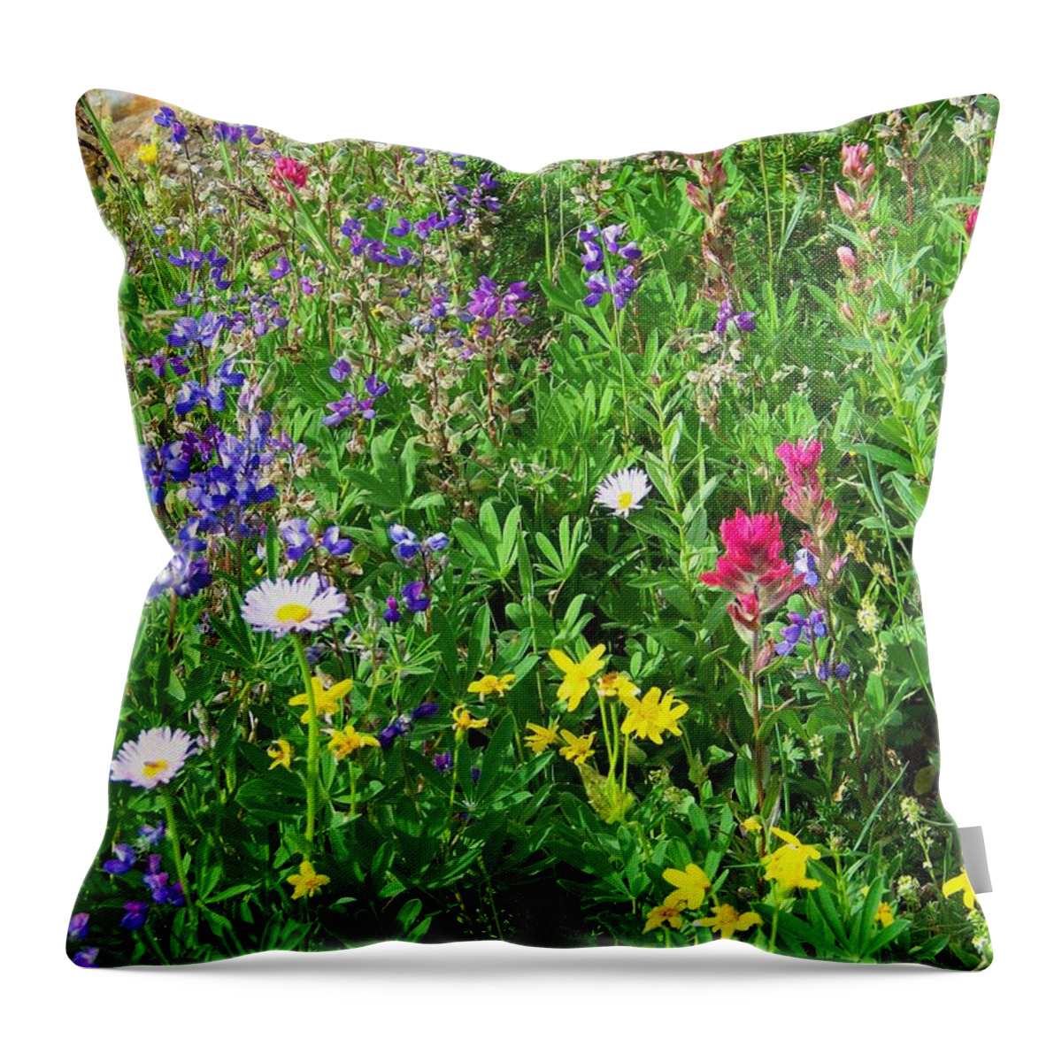 Flowers Throw Pillow featuring the photograph Wild Bouquet by Charles Robinson