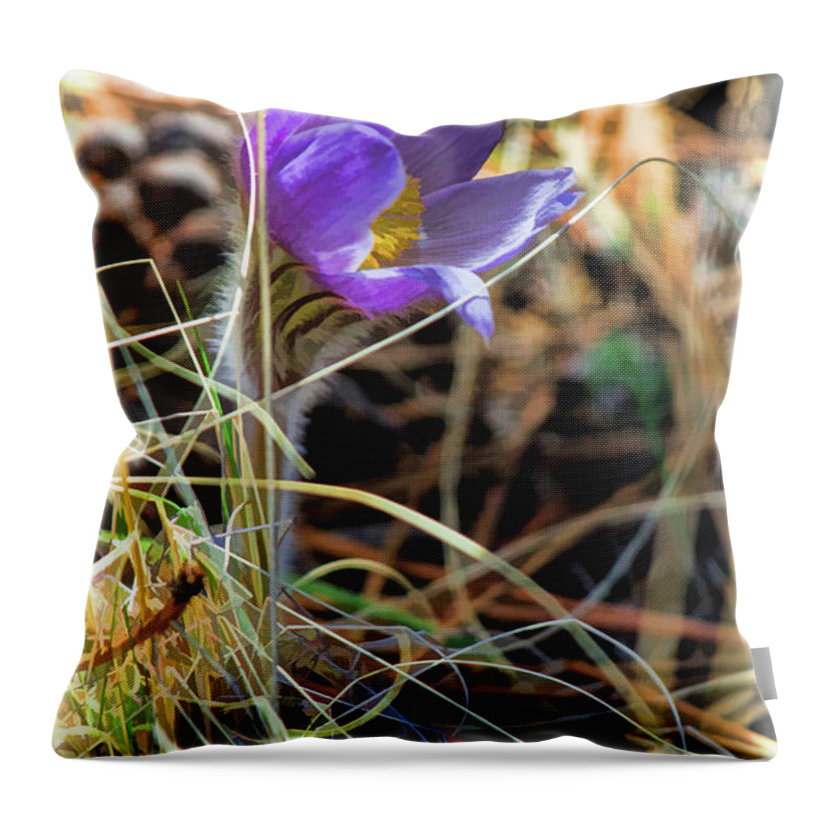 Pasque Flower Throw Pillow featuring the photograph Wild Crocus by Jim Garrison