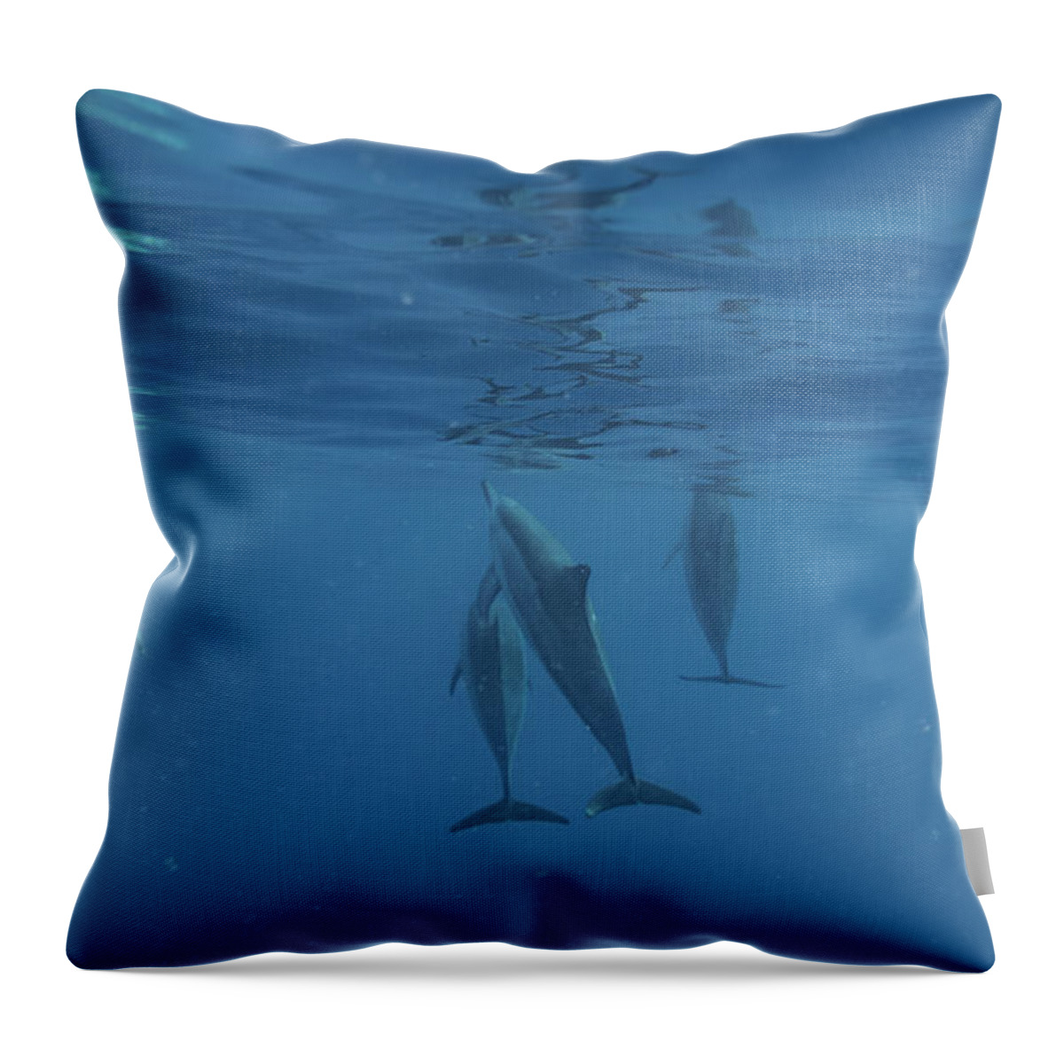 Big Island Throw Pillow featuring the photograph Wild Dolphins by Art Atkins