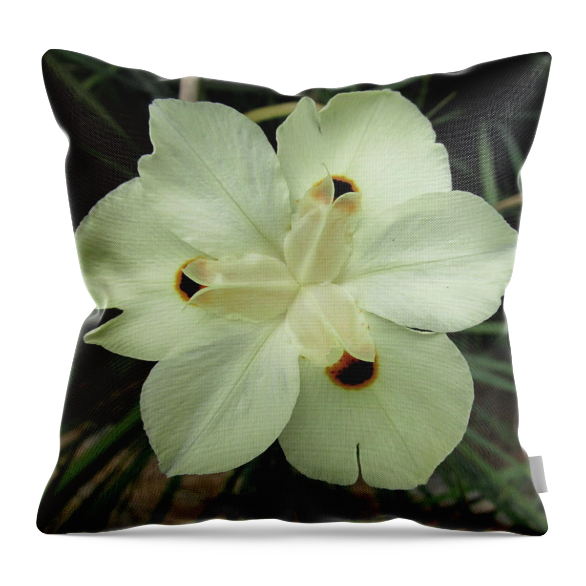 Orchid Throw Pillow featuring the photograph Wild Flower by Cesar Vieira
