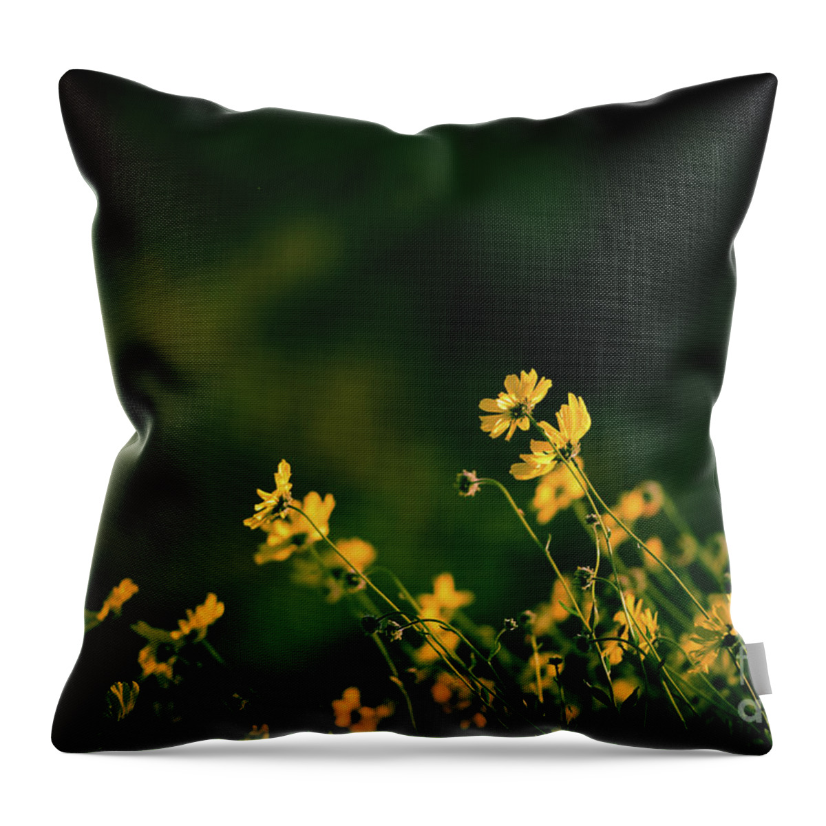 Wild Flowers Throw Pillow featuring the photograph Evening Wild Flowers by Kelly Wade