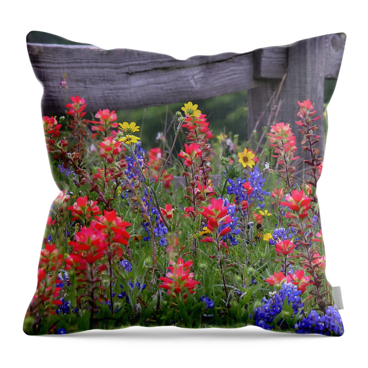 Blue Bonnets Throw Pillow featuring the photograph Wild Flowers by Robert Bellomy