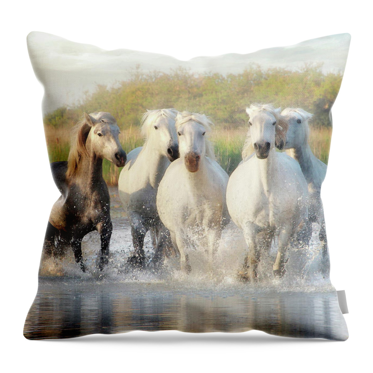 Horse Throw Pillow featuring the photograph Wild Friends by Karen Lynch