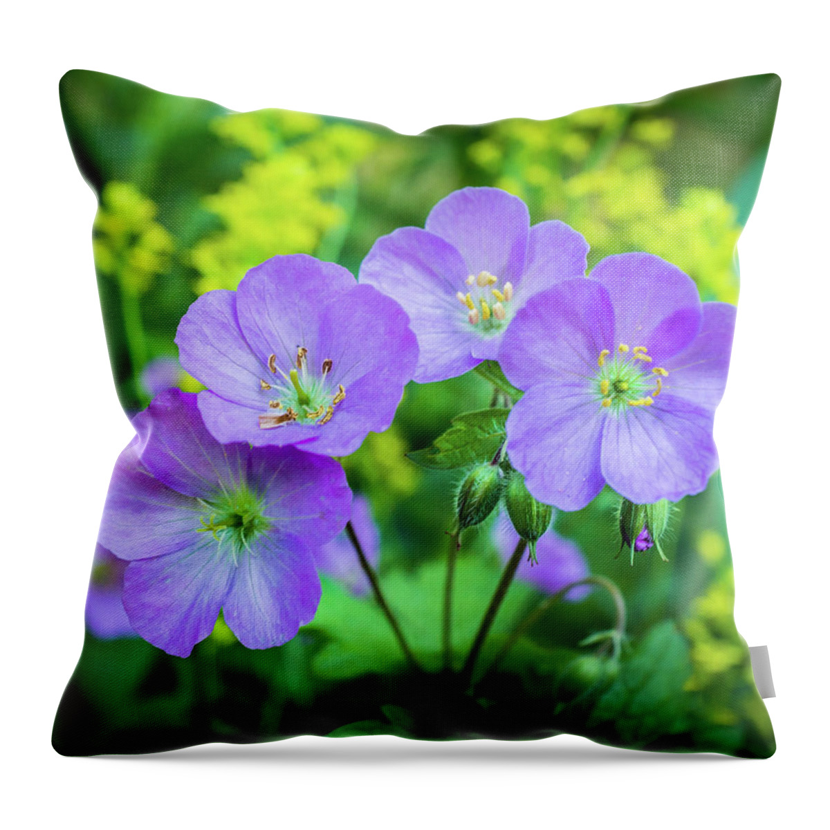 Wildflower Throw Pillow featuring the photograph Wild Geranium Family Portrait by Bill Pevlor