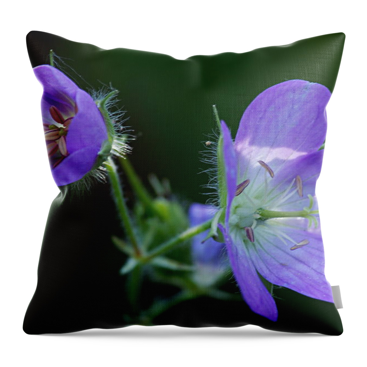Geranium Throw Pillow featuring the photograph Wild Geraniums by Larry Ricker