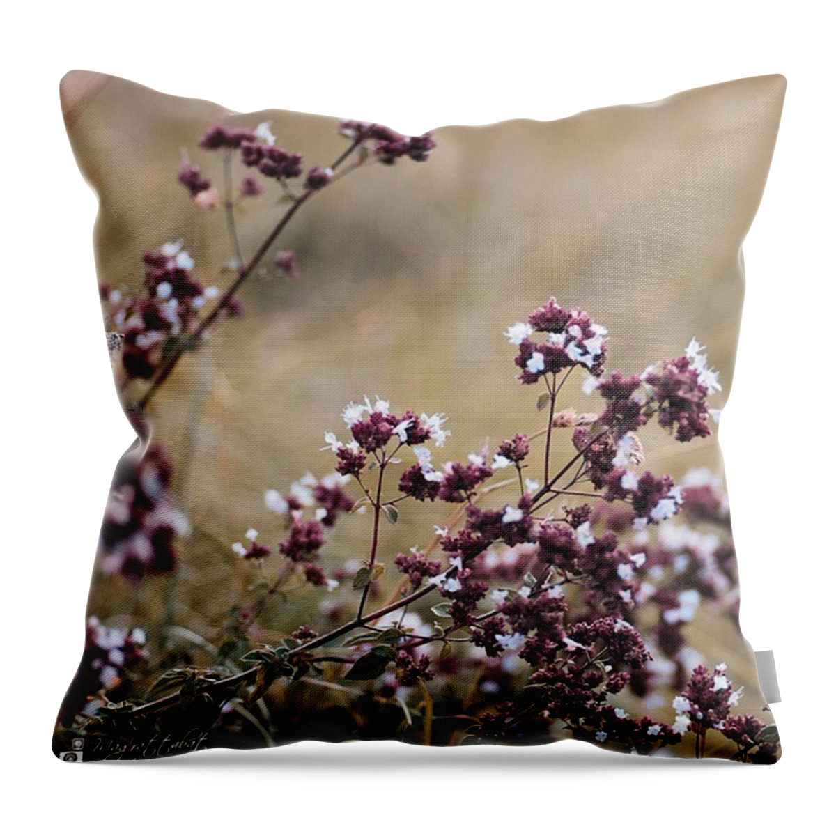 Summer Throw Pillow featuring the photograph Wild Herbs

#herbs by Mandy Tabatt