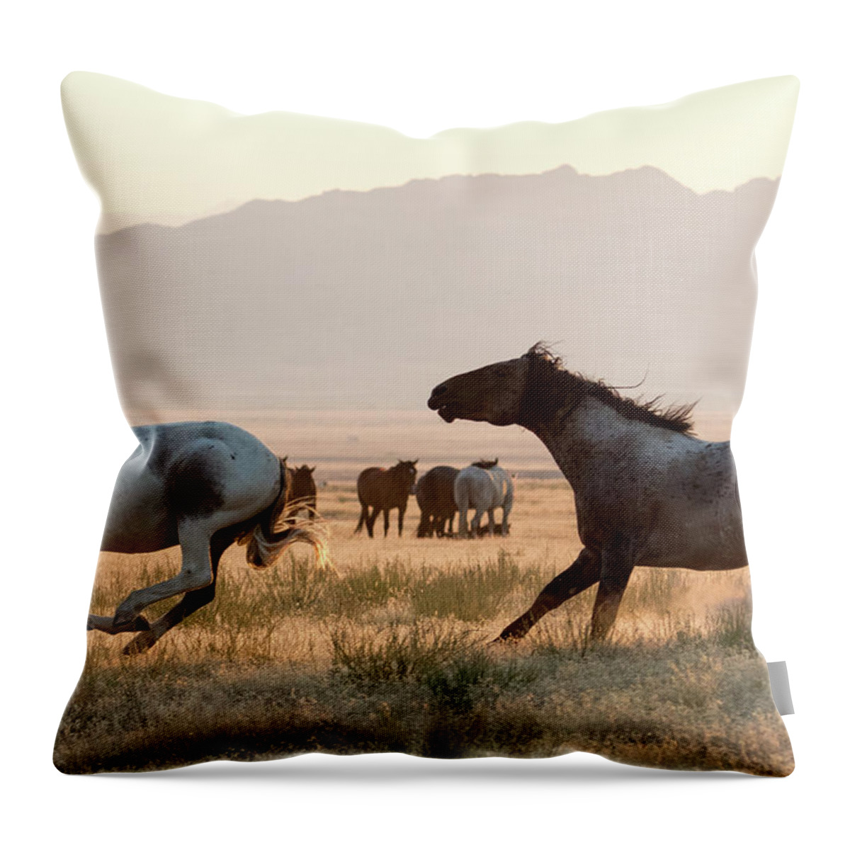 Chase Throw Pillow featuring the photograph Wild Horse Chase by Wesley Aston