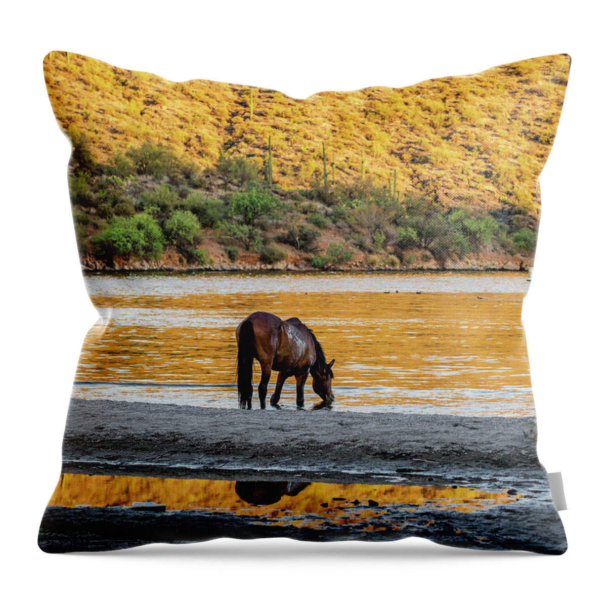 Equine Throw Pillow featuring the photograph Wild Horse Drinking Water From River by Good Focused